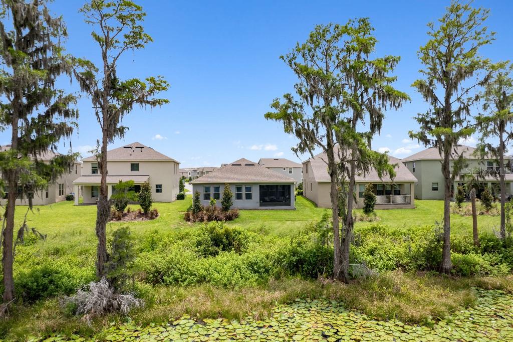 17936 Adrift Road Winter Garden, FL 34787 - Photo 6 of 44 a front view of a house with a yard