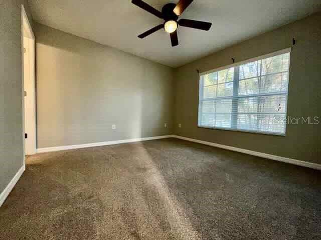 6335 Maisai Road Zephyrhills, FL 33542 - Photo 19 of 21