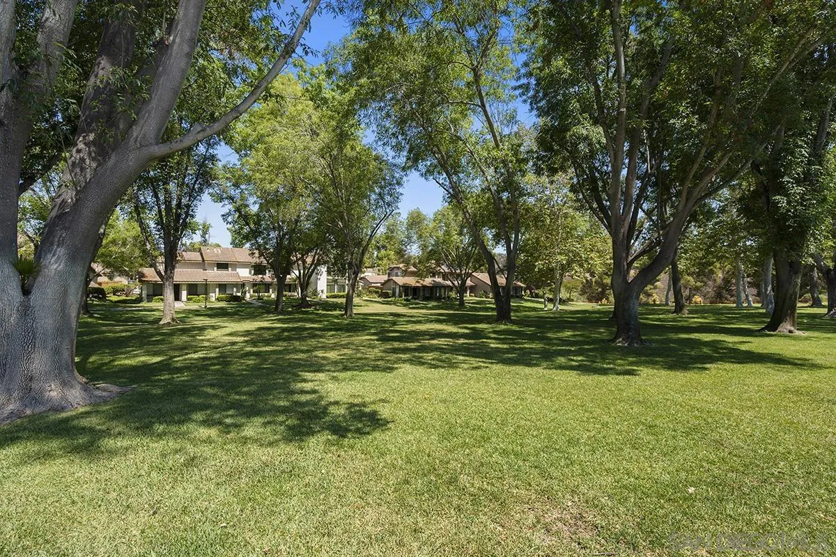 9787 Rimpark Way San Diego, CA 92124 - Photo 52 of 54 a view of a park with large trees