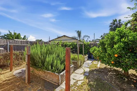 a view of a backyard