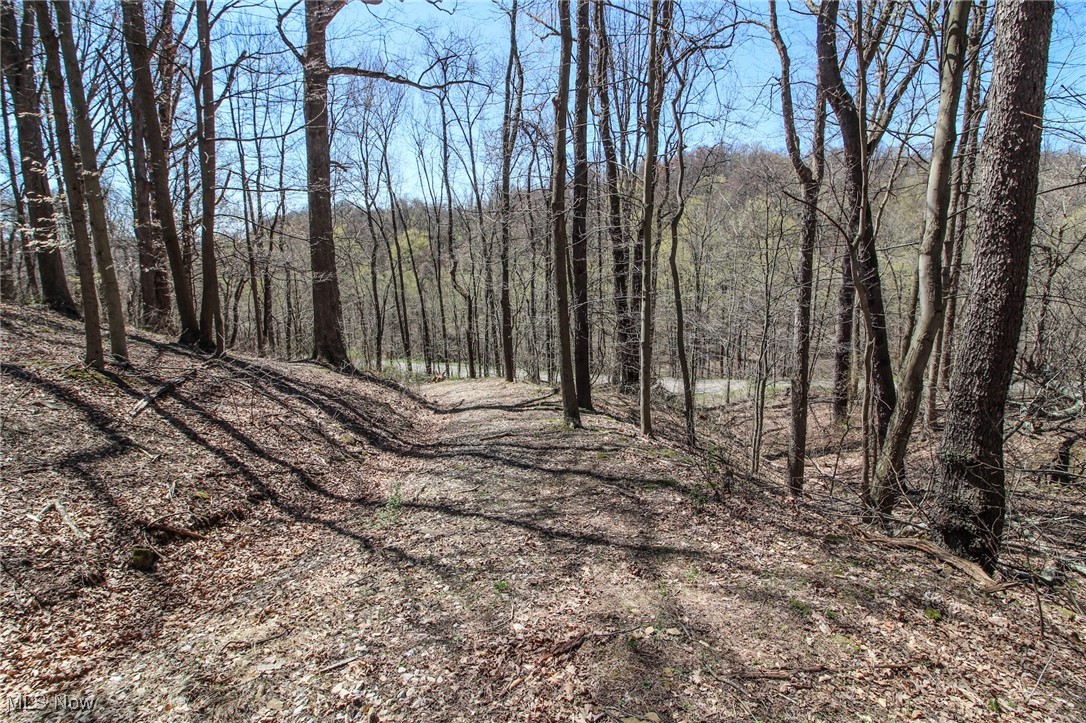 Mercer Rd Street Bridgeport, OH 43912 - Photo 1 of 19 View of nature with a wooded view