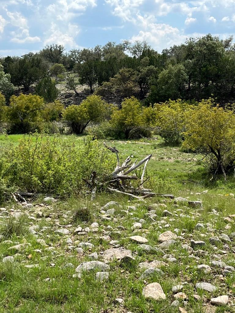 24 Fm 1674 Junction Junction, TX 76849 - Photo 19 of 28 Gallery Image 19