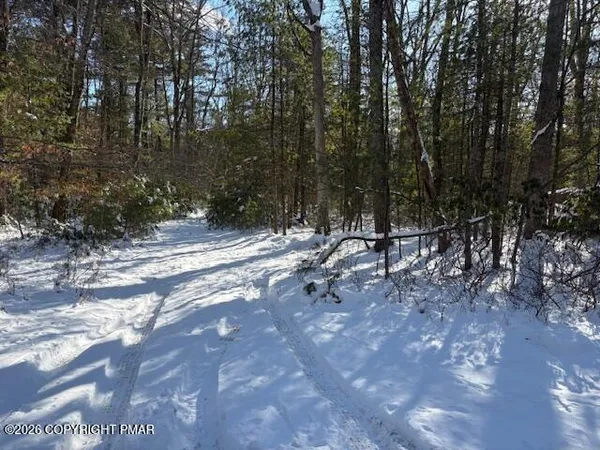 a view of outdoor space with trees