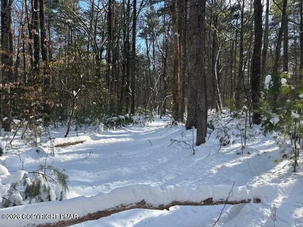 a view of water with trees