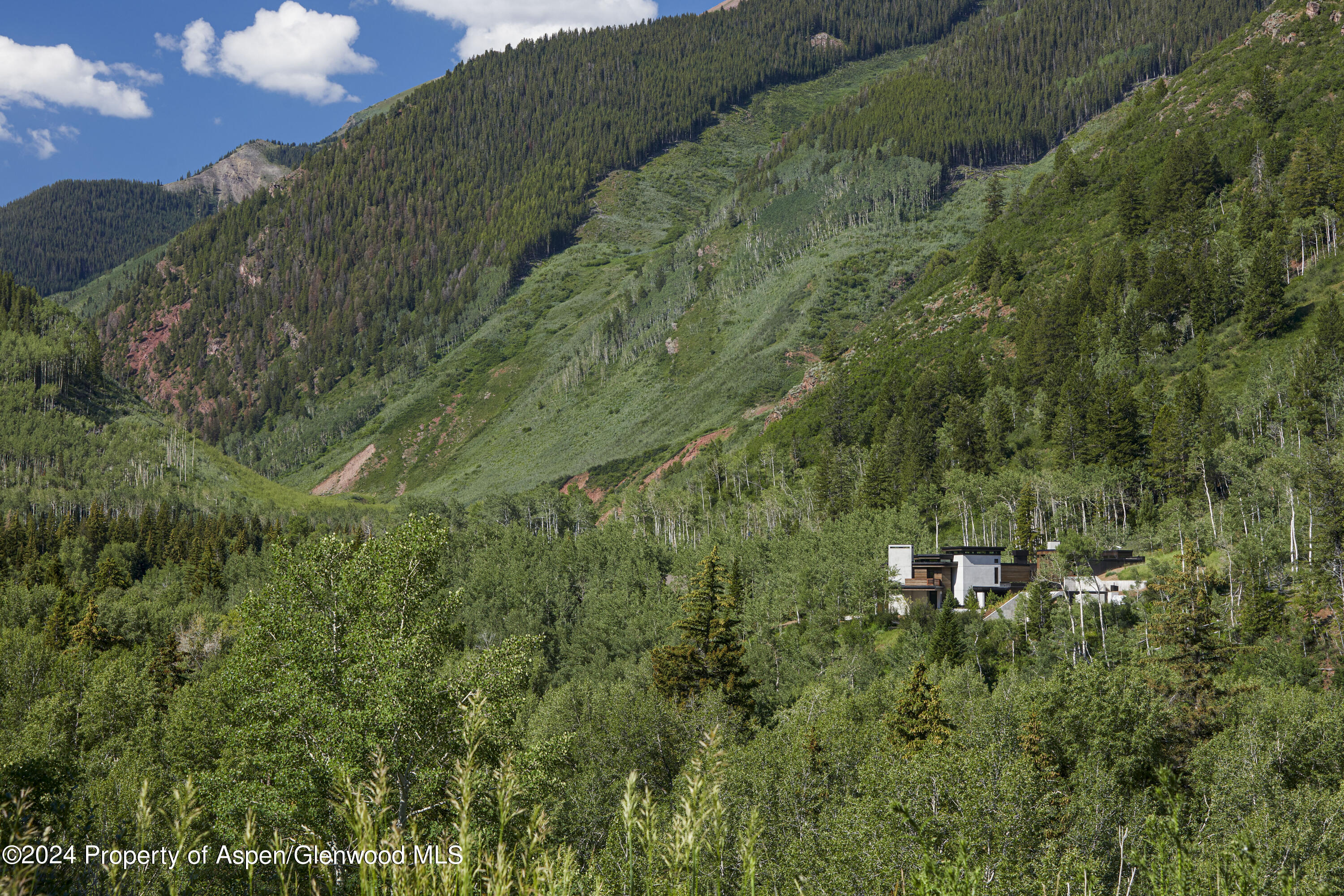 255 Conundrum Creek Road Aspen, CO 81611 - Photo 17 of 21 a view of a forest with a houses