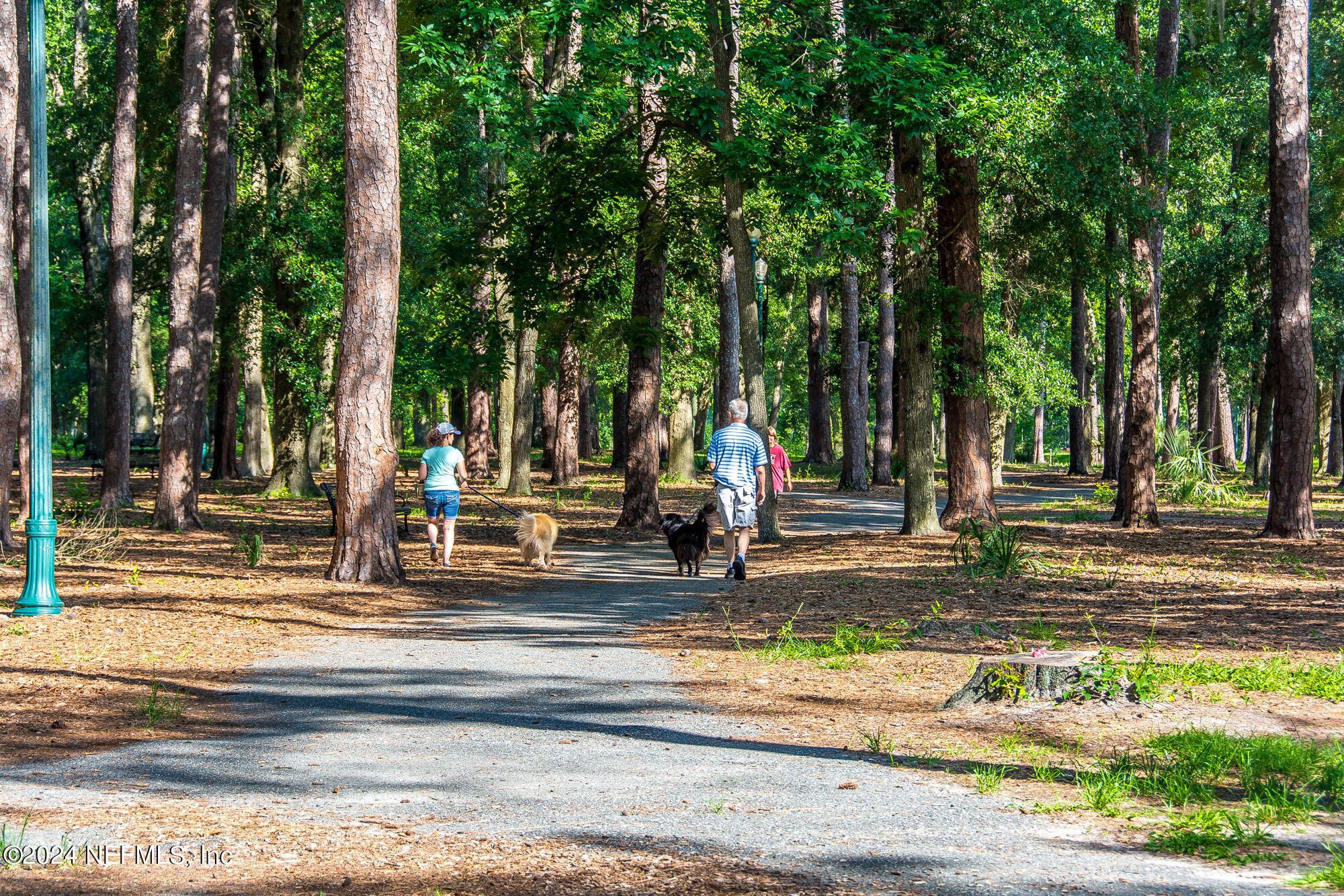3841 Boone Park Avenue Jacksonville, FL 32205 - Photo 47 of 53 DSC_5488edt
