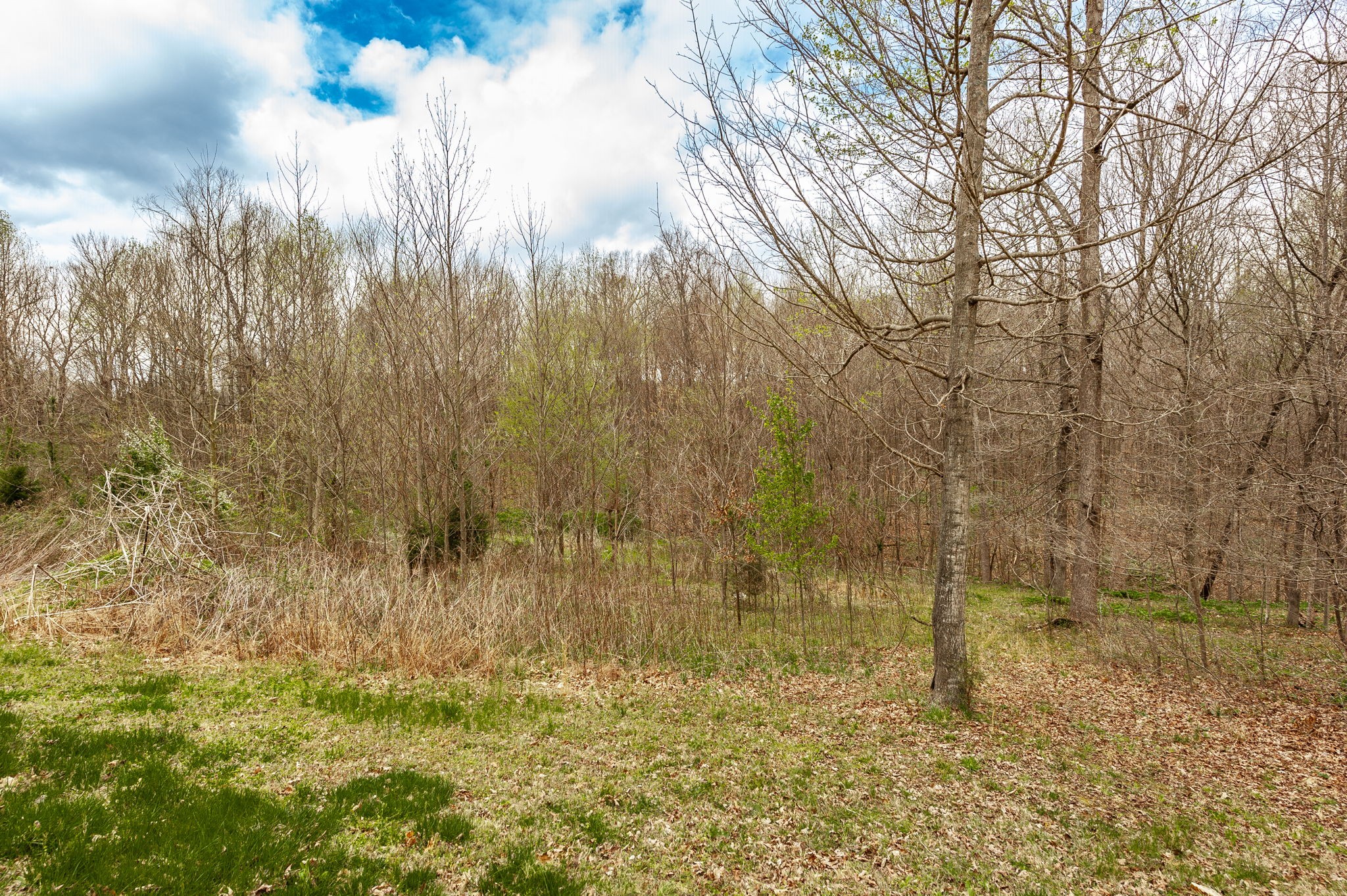 141 West George Durham Road Westmoreland, TN 37186 - Photo 18 of 22 Gallery Image 18