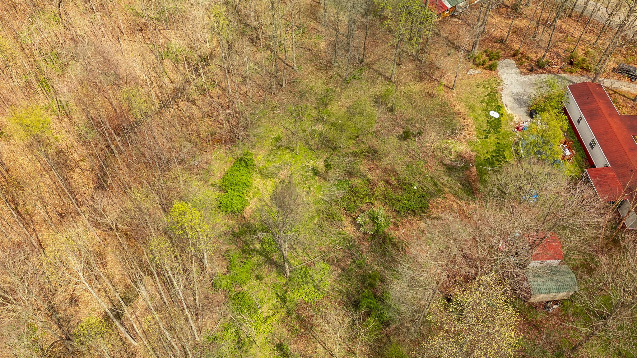 141 West George Durham Road Westmoreland, TN 37186 - Photo 22 of 22 Gallery Image 22
