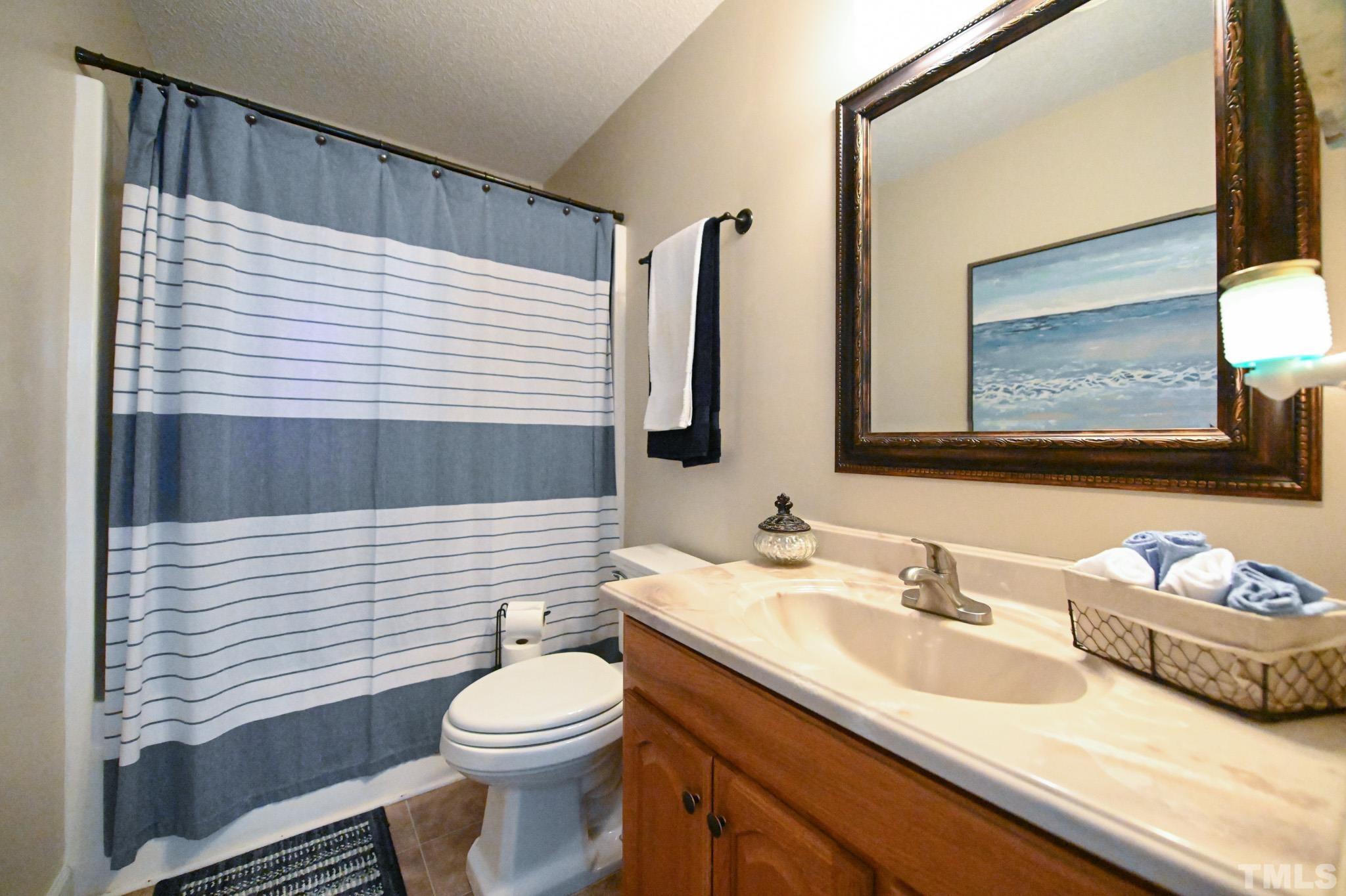 4071 Bizzell Grove Church Road Princeton, NC 27569 - Photo 38 of 53 a bathroom with a toilet a sink and mirror