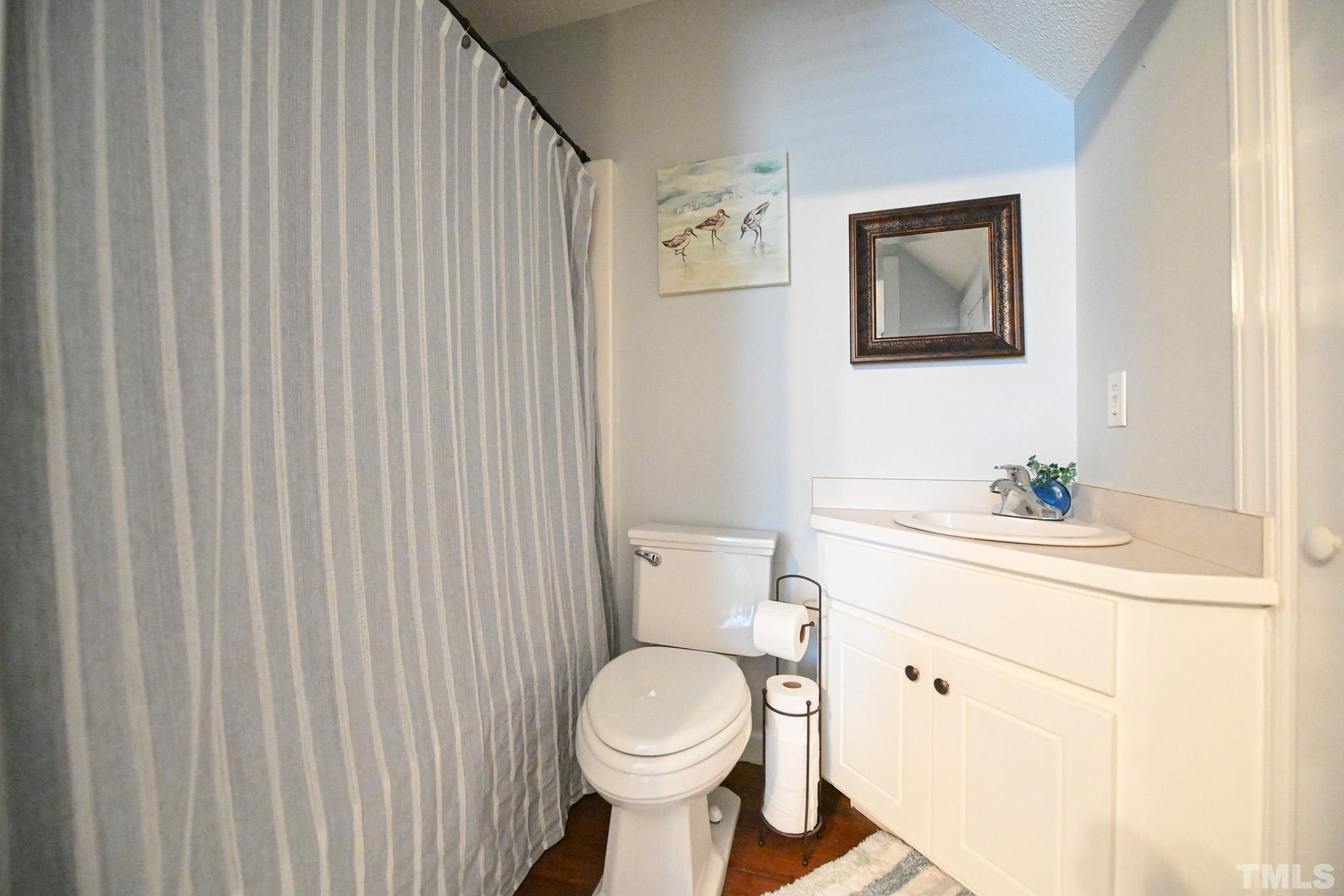 4071 Bizzell Grove Church Road Princeton, NC 27569 - Photo 43 of 53 a bathroom with a toilet a sink and mirror