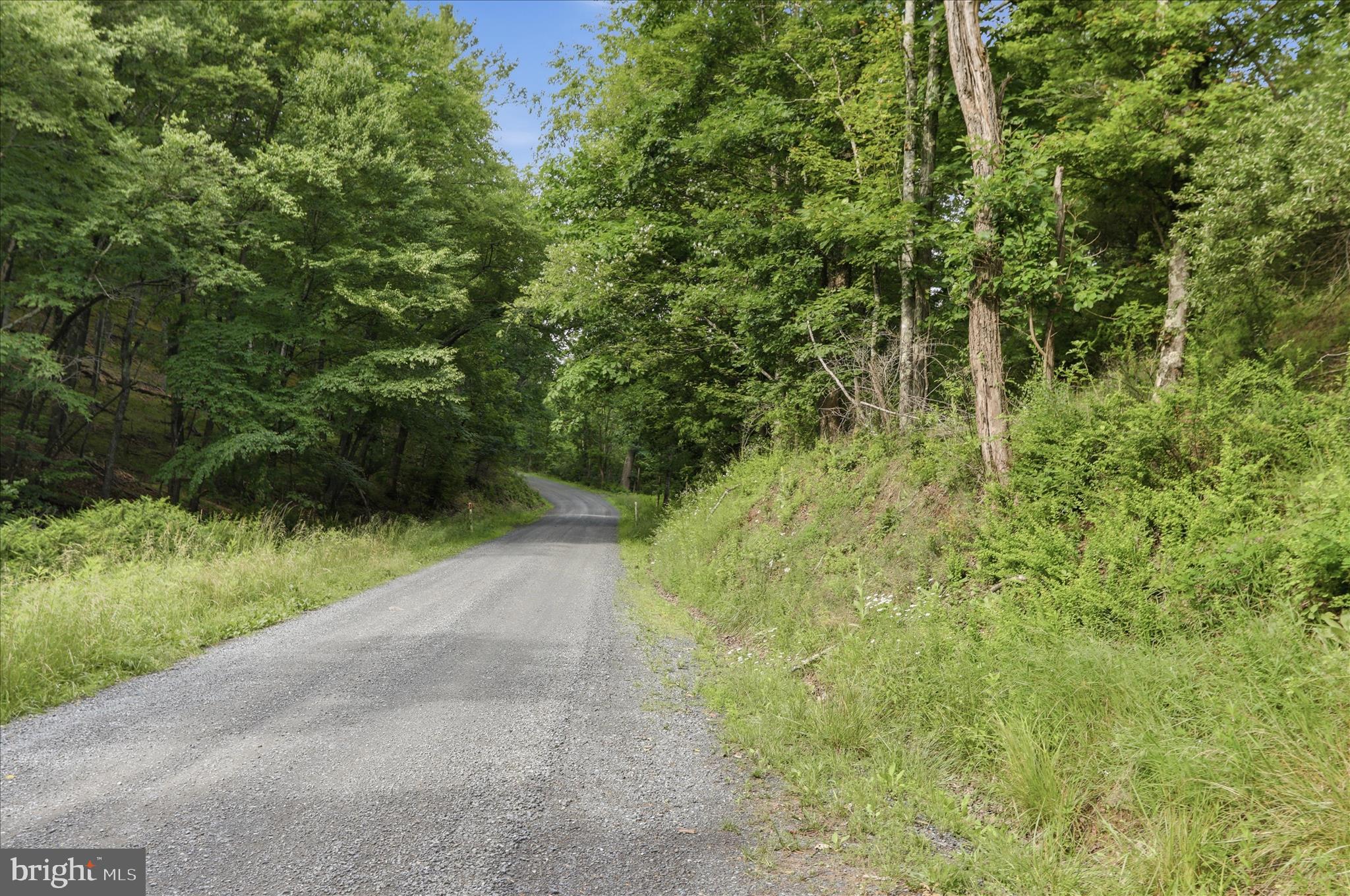 11.95-ac Luxemburg Road Baker, WV 26801 - Photo 2 of 23 Main Road