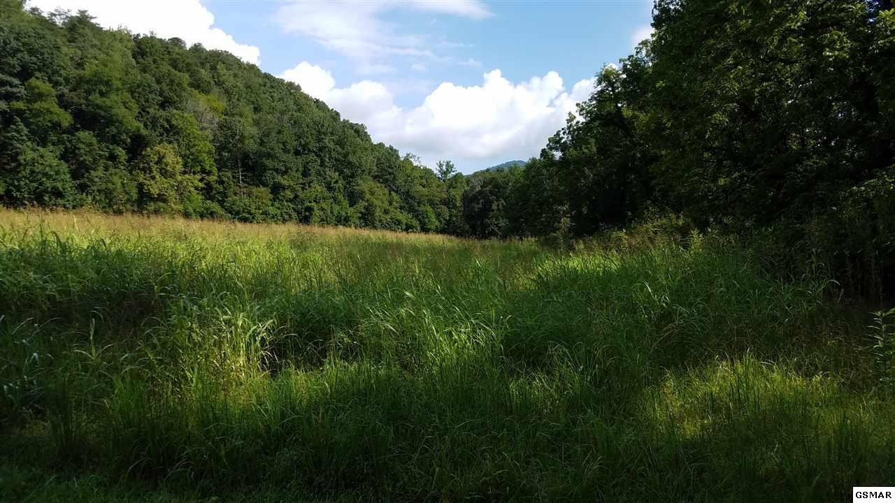 54 River Rpds Way Del Rio, TN 37727 - Photo 6 of 20 Gallery Image 6