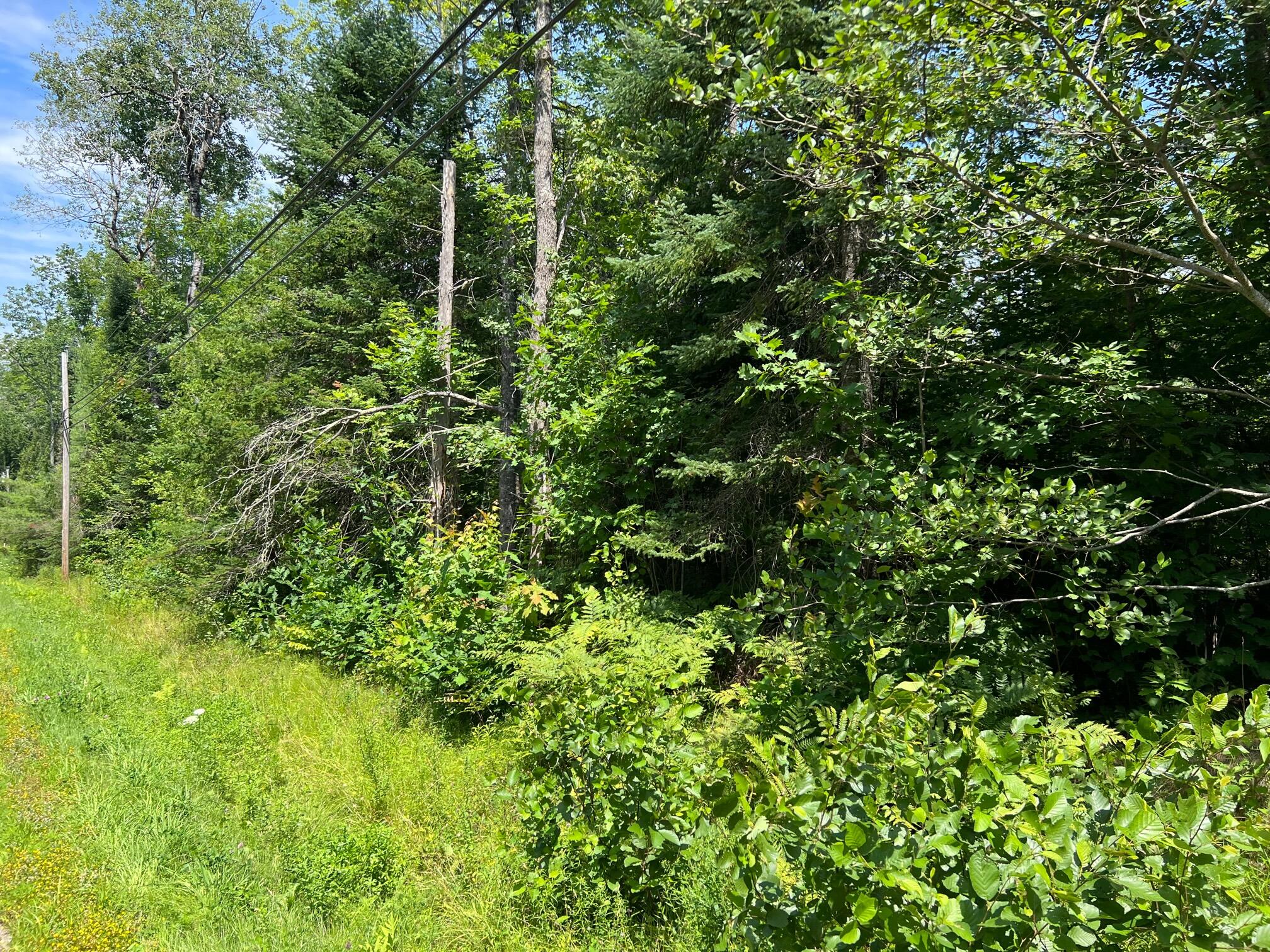 202 Shaw Hill Road Hampden, ME 04444 - Photo 3 of 6 3