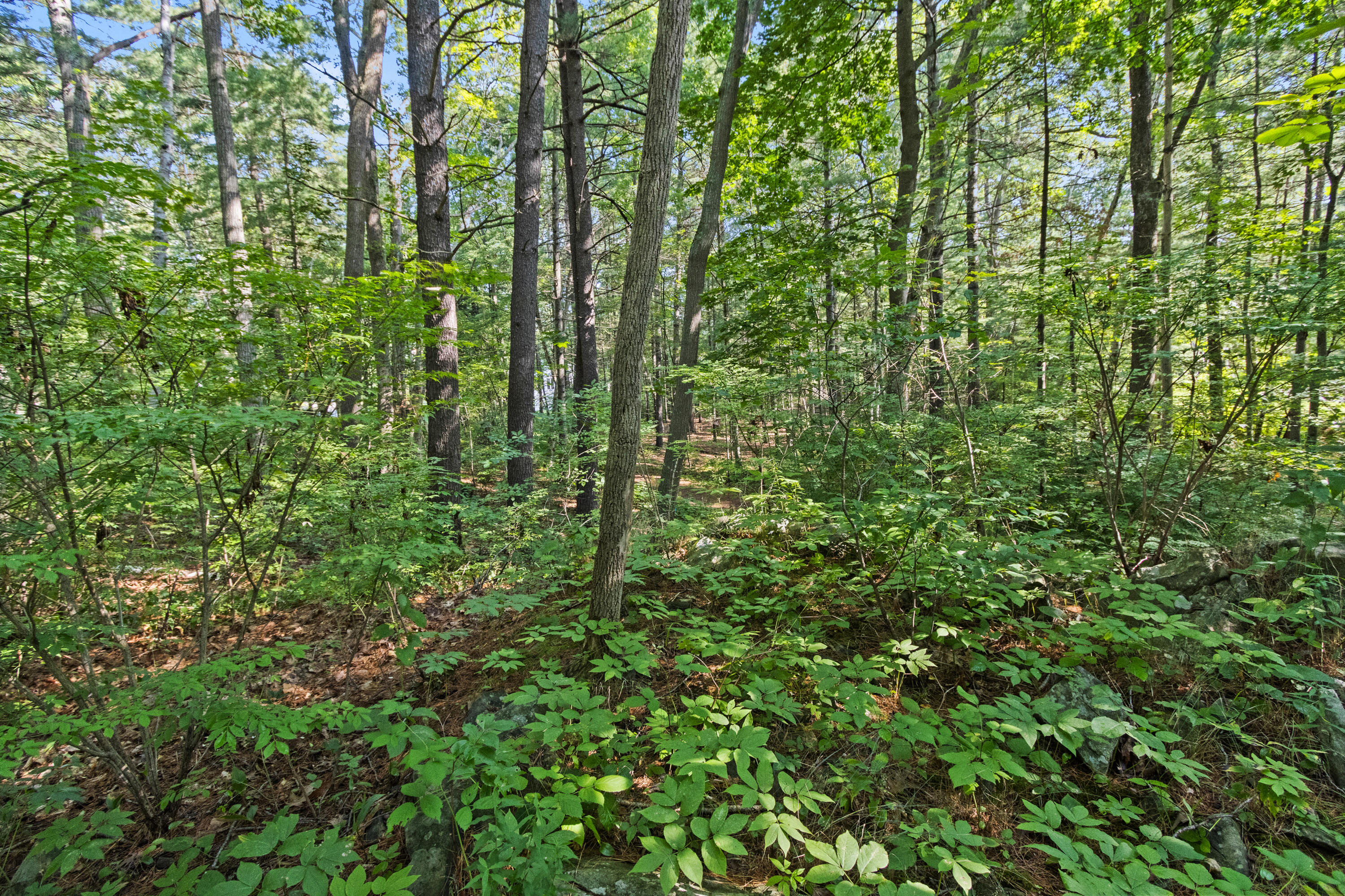 5 Lindenwood Road Cape Elizabeth, ME 04107 - Photo 68 of 92 20260811TR-61066