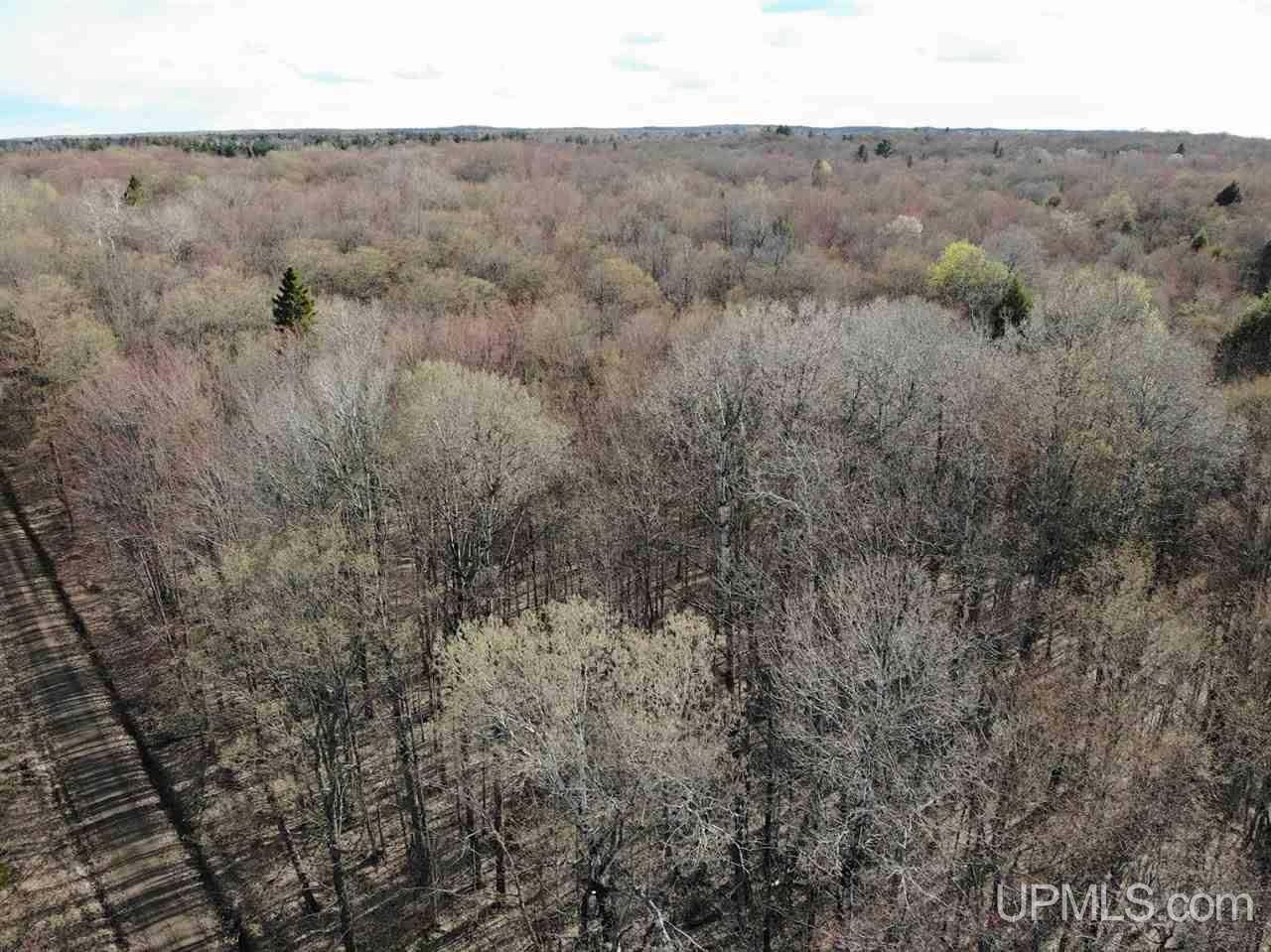 109 Orange Road, Unit 109 Michigamme, MI 49861 - Photo 11 of 13