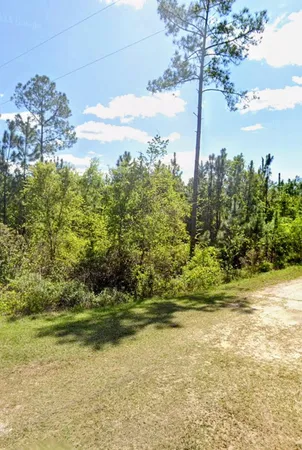 $20,900 | Tbd Birch Boulevard, Georgetown, FL 32139