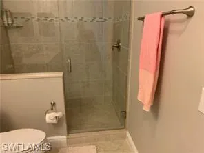 a bathroom with a shower and a toilet
