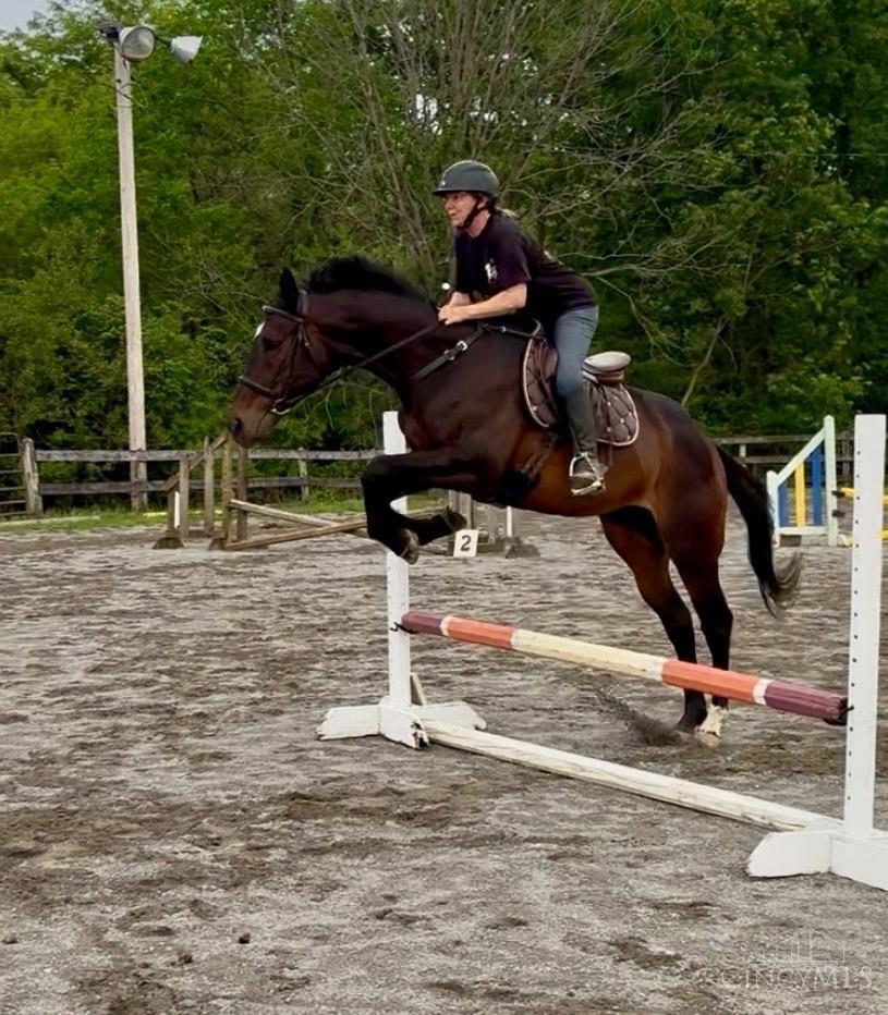 2920 Minton Road Hamilton, OH 45013 - Photo 21 of 39 Agility practice