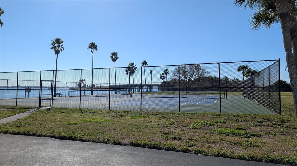 7 Dunoon Place, Unit 104 Dunedin, FL 34698 - Photo 41 of 45 a view of a backyard