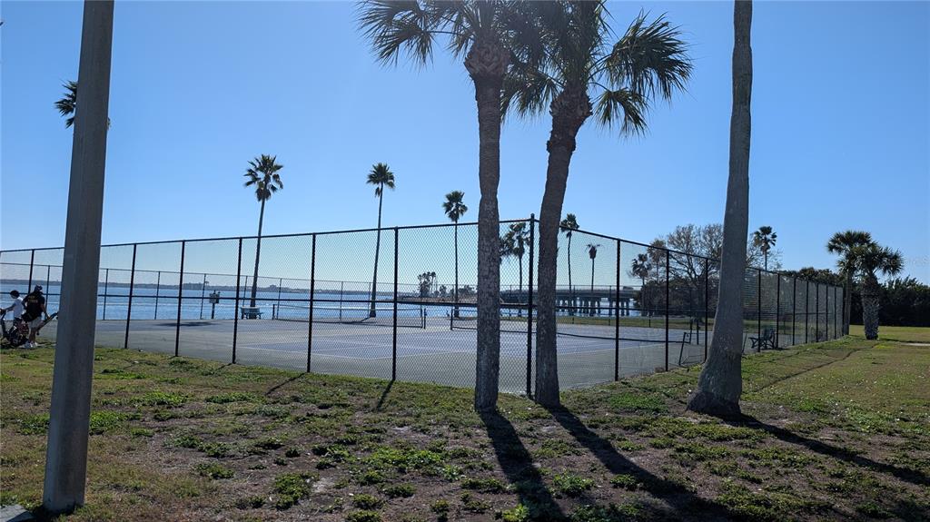 7 Dunoon Place, Unit 104 Dunedin, FL 34698 - Photo 42 of 45 a view of a backyard