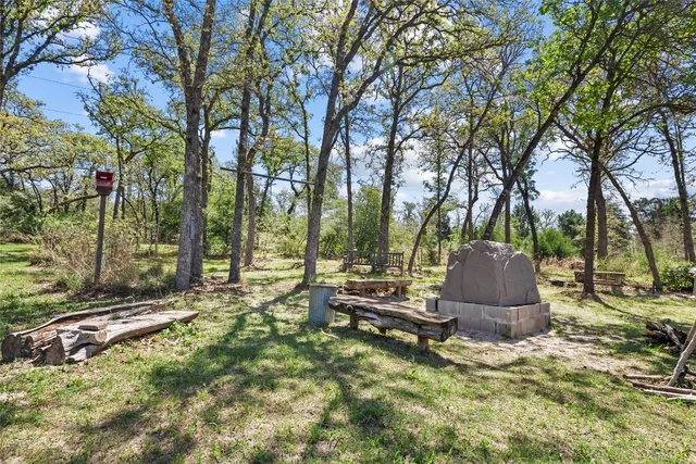 a view of a backyard with large trees