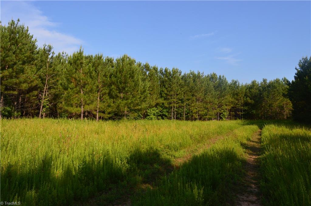0 Smith Acres Road Eden, NC 27288 - Photo 11 of 38 Gallery Image 11