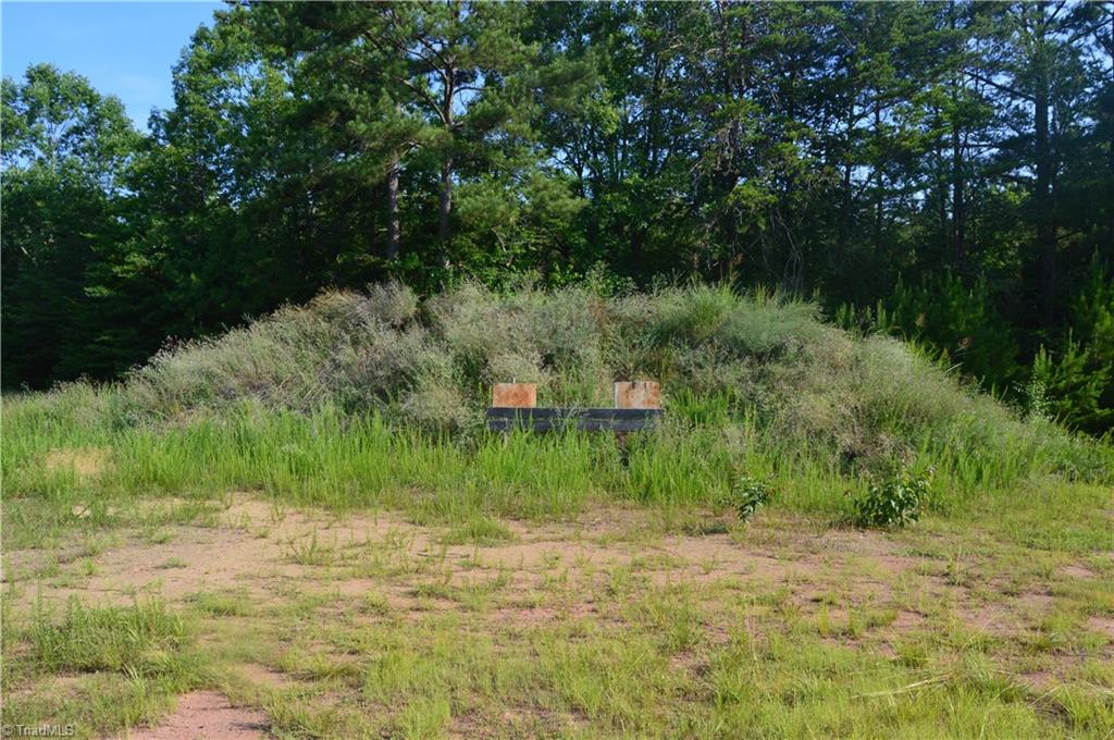 0 Smith Acres Road Eden, NC 27288 - Photo 12 of 38 Gallery Image 12