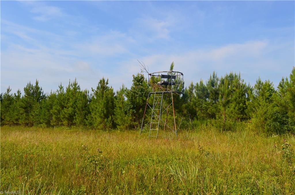 0 Smith Acres Road Eden, NC 27288 - Photo 13 of 38 Gallery Image 13