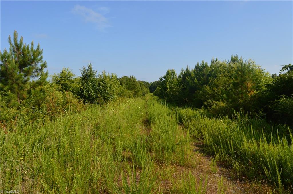 0 Smith Acres Road Eden, NC 27288 - Photo 15 of 38 Gallery Image 15