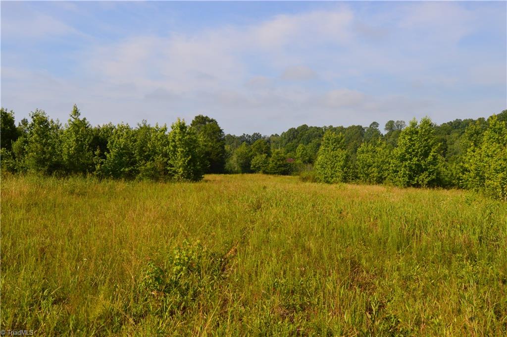 0 Smith Acres Road Eden, NC 27288 - Photo 17 of 38 Gallery Image 17