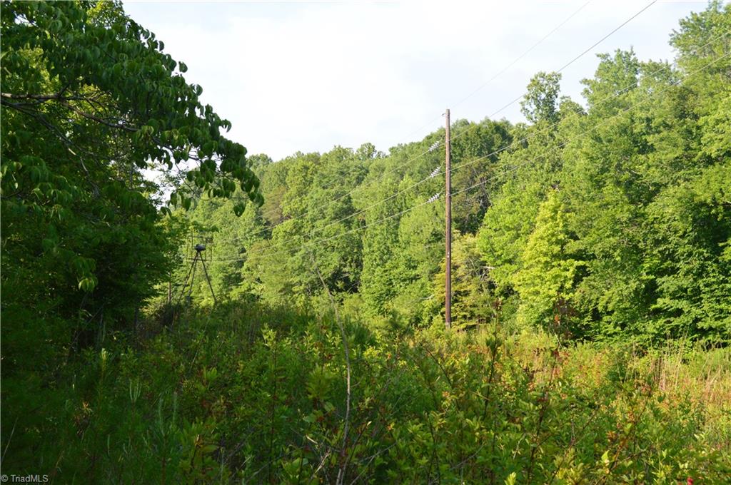 0 Smith Acres Road Eden, NC 27288 - Photo 18 of 38 Gallery Image 18