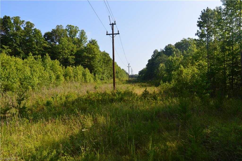 0 Smith Acres Road Eden, NC 27288 - Photo 19 of 38 Gallery Image 19