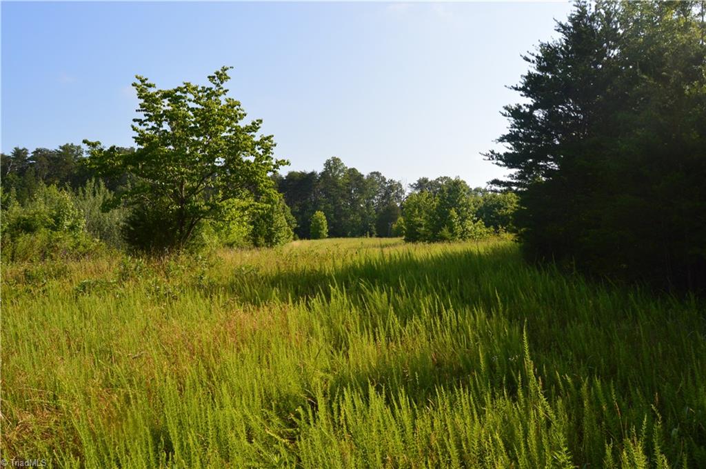 0 Smith Acres Road Eden, NC 27288 - Photo 20 of 38 Gallery Image 20