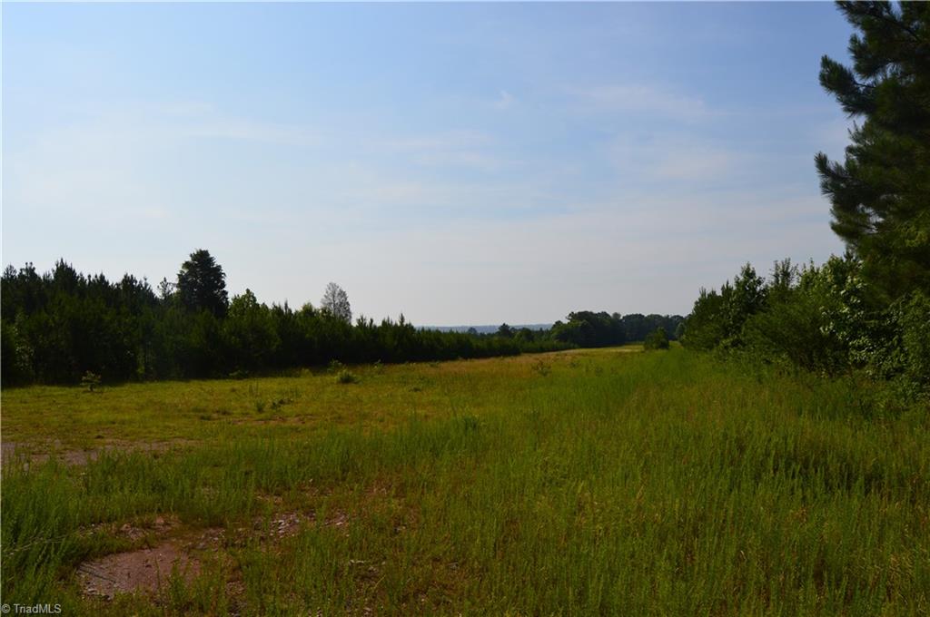 0 Smith Acres Road Eden, NC 27288 - Photo 21 of 38 Gallery Image 21