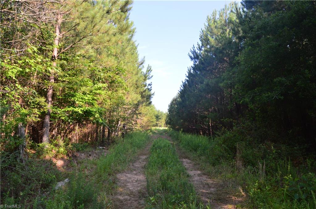 0 Smith Acres Road Eden, NC 27288 - Photo 10 of 38 Gallery Image 10