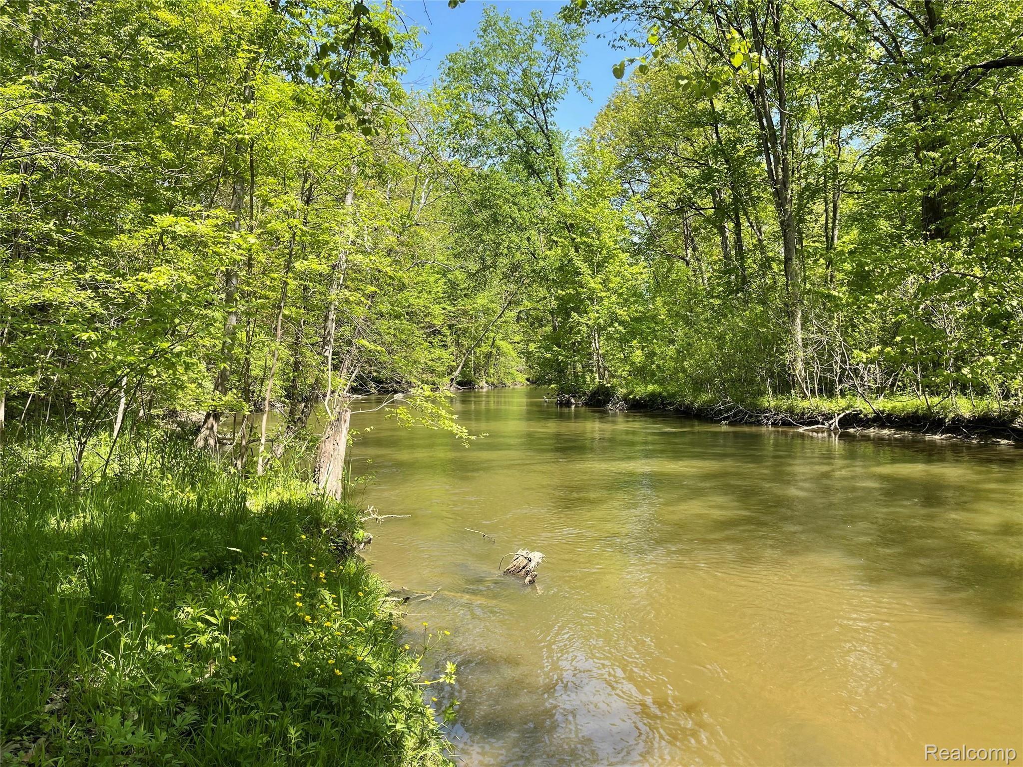 3145 Levalley Road Columbiaville, MI 48421 - Photo 70 of 79 River shore line.jpg