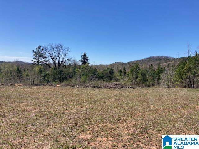 250 Gortney Road, Unit 110 AC Ashland, AL 36251 - Photo 7 of 8 Gallery Image 7