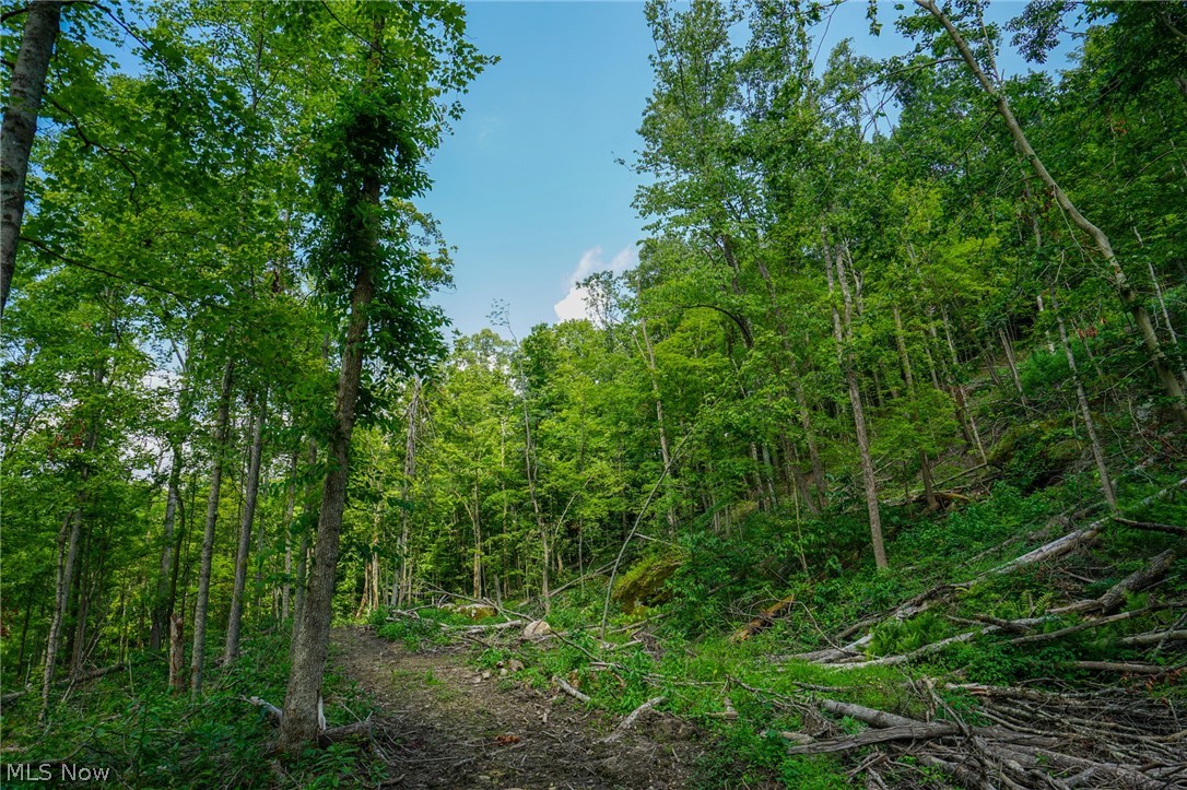 Featherstone Road Stewart, OH 45778 - Photo 19 of 35