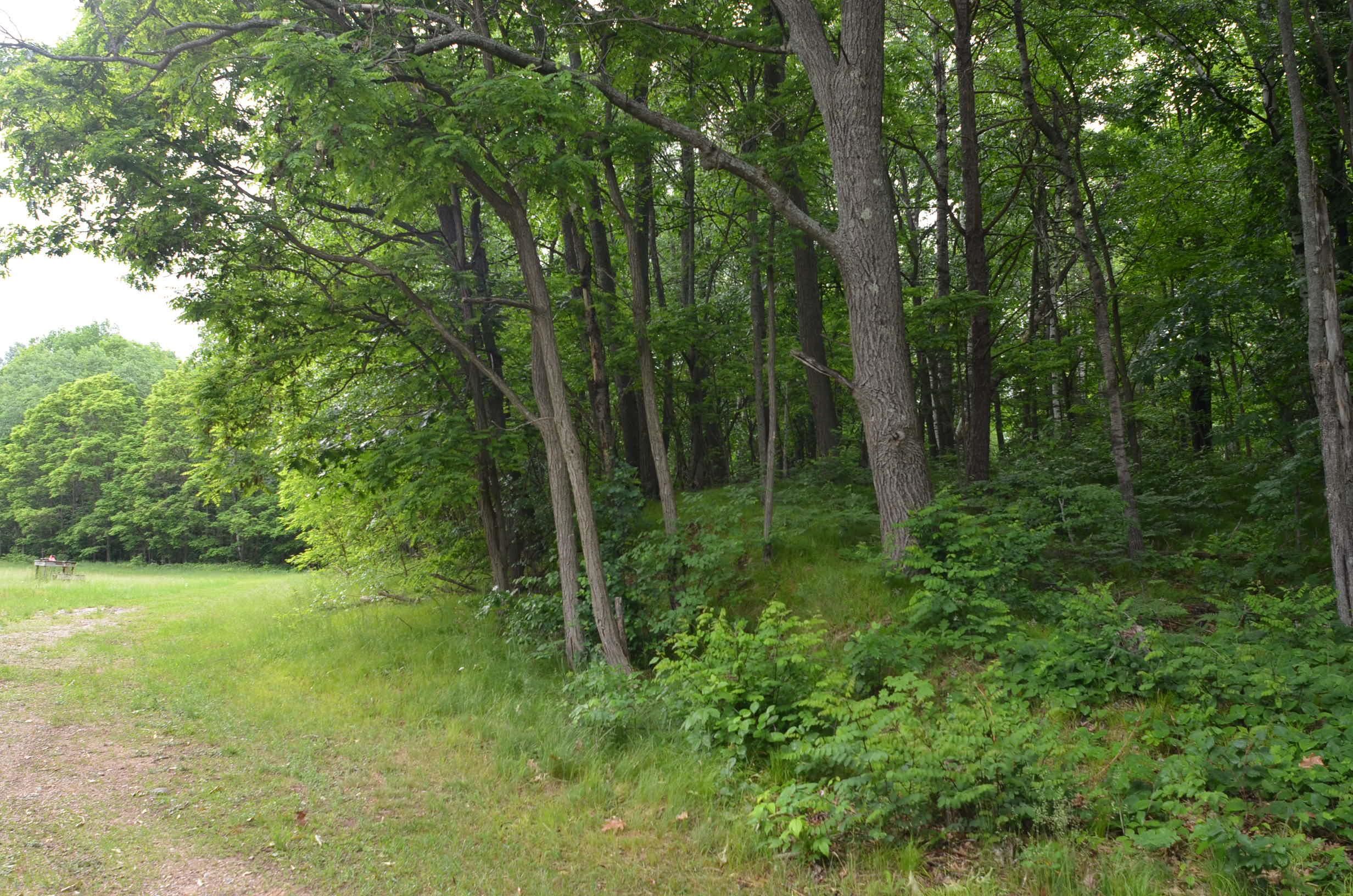 4140 Poskie Road Rhinelander, WI 54501 - Photo 42 of 58