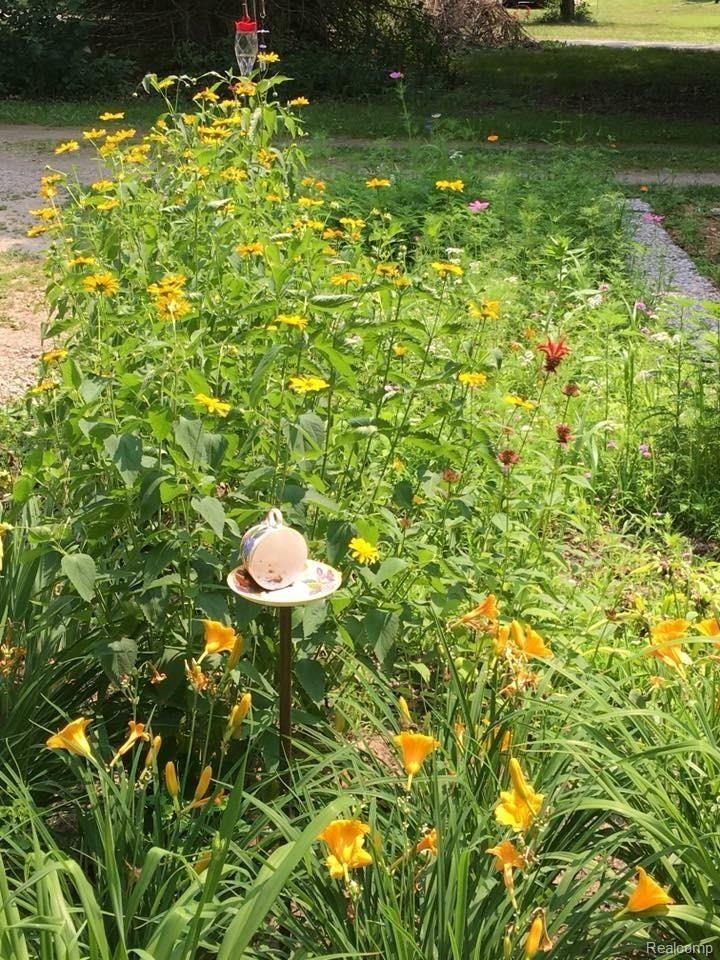 13450 Lenmoore Road Belleville, MI 48111 - Photo 36 of 38 Frontyard Summer 1.JPG