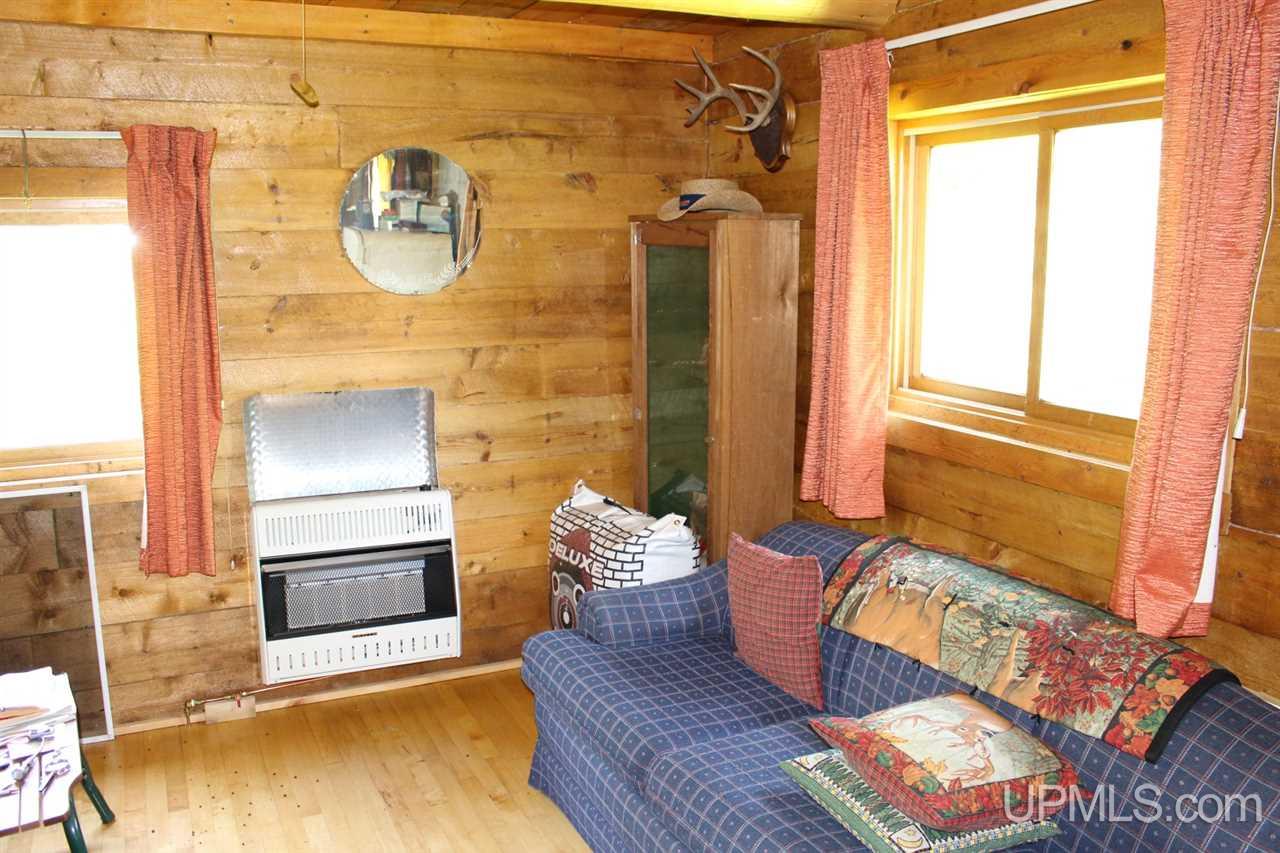 Tbd Net River Road Crystal Falls, MI 49903 - Photo 10 of 22
