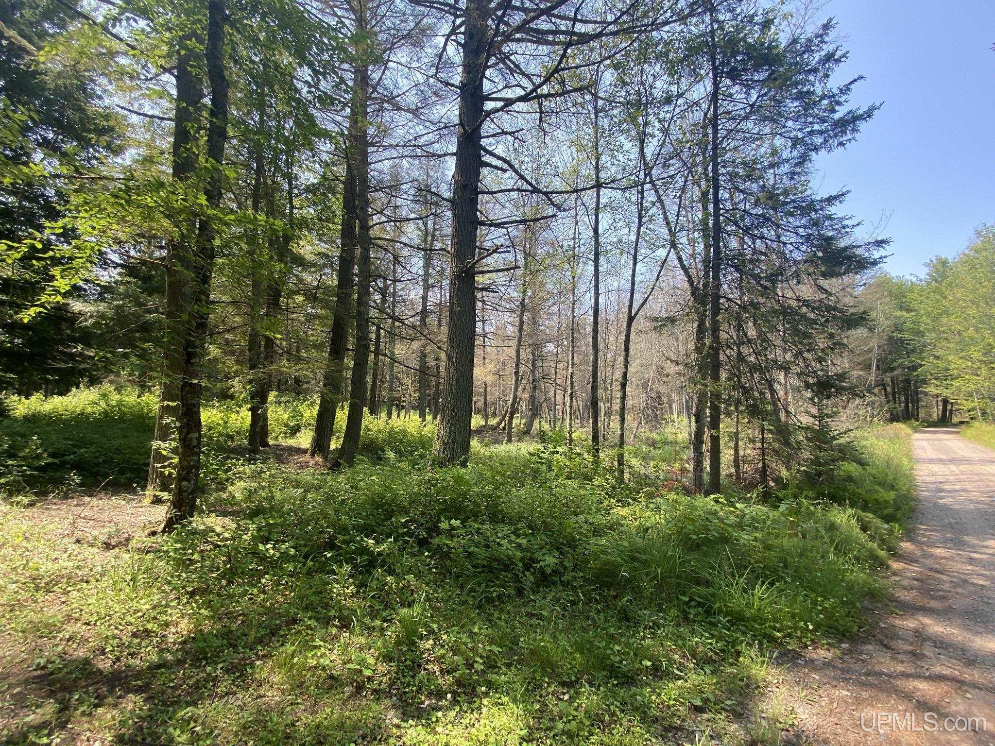 Tbd Tbd En-a-wen-da-win Road Watersmeet, MI 49969 - Photo 17 of 35