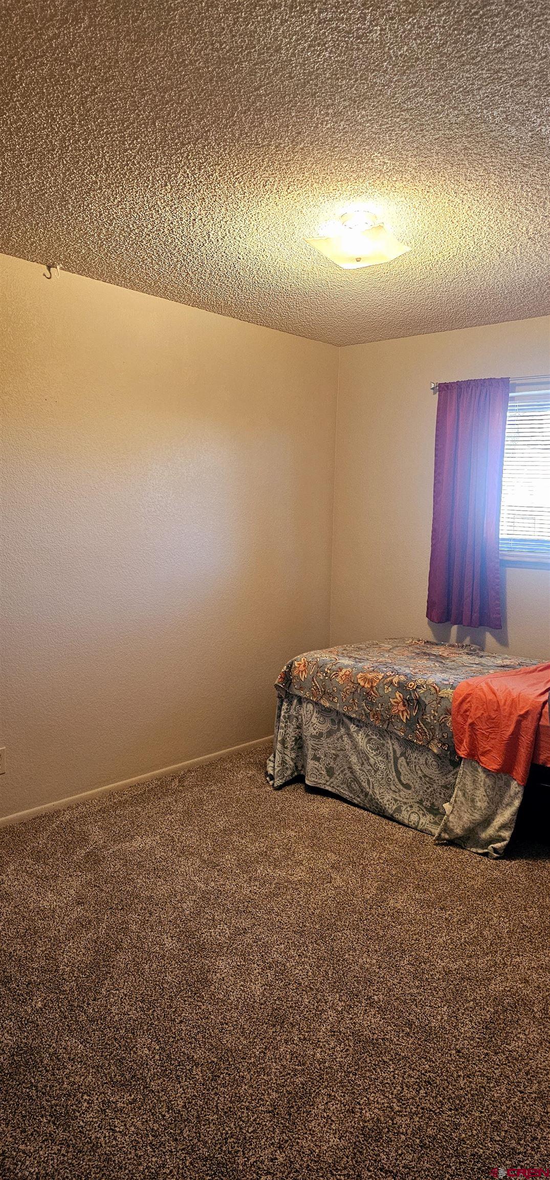 1726 Aldridge Road Cortez, CO 81321 - Photo 14 of 32 Unfurnished bedroom with a textured ceiling, baseboards, and carpet floors
