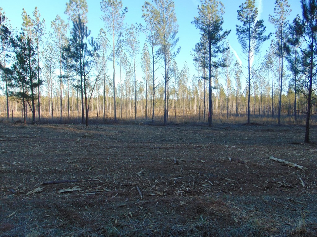 0 Hughes Lake Road Southeast Cleveland, TN 37323 - Photo 3 of 5