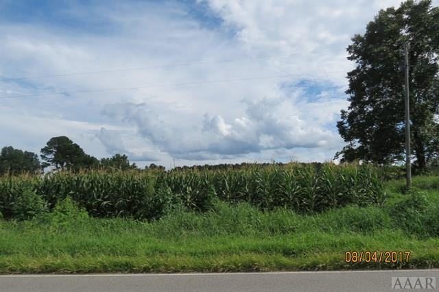 9750 Newland Road Creswell, NC 27928 - Photo 2 of 8 Farmland & Woodland behind it