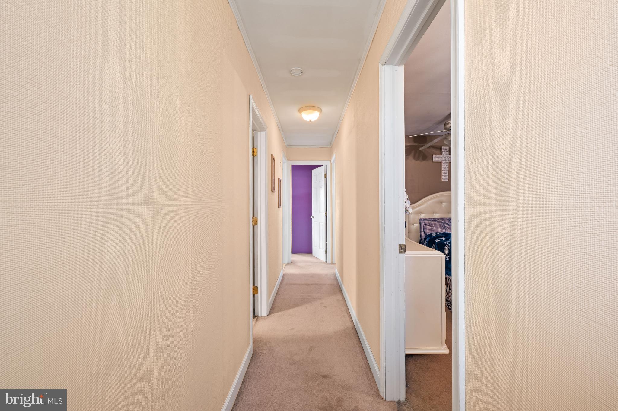 48 Helen Avenue Maple Shade, NJ 08052 - Photo 27 of 39