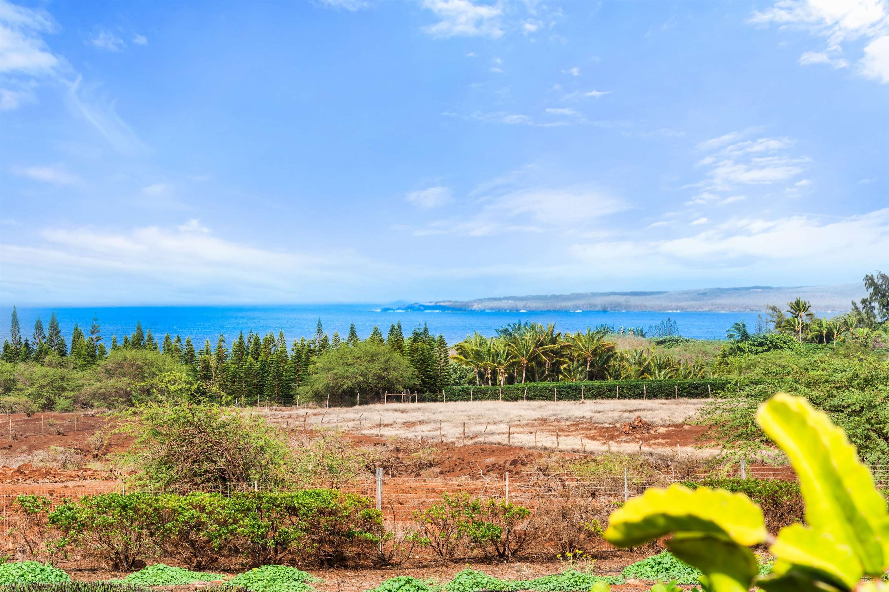 3820 Kalua Koi Road Maunaloa, HI 96770 - Photo 5 of 46
