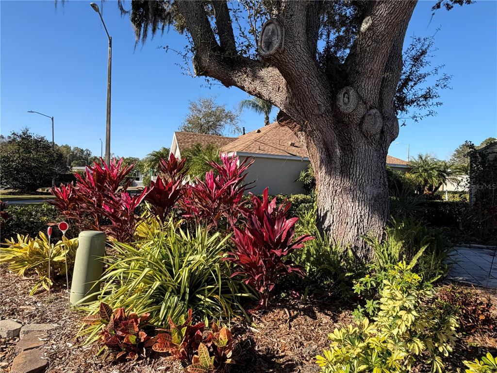20300 Leonard Road, Unit 78 Lutz, FL 33558 - Photo 39 of 51