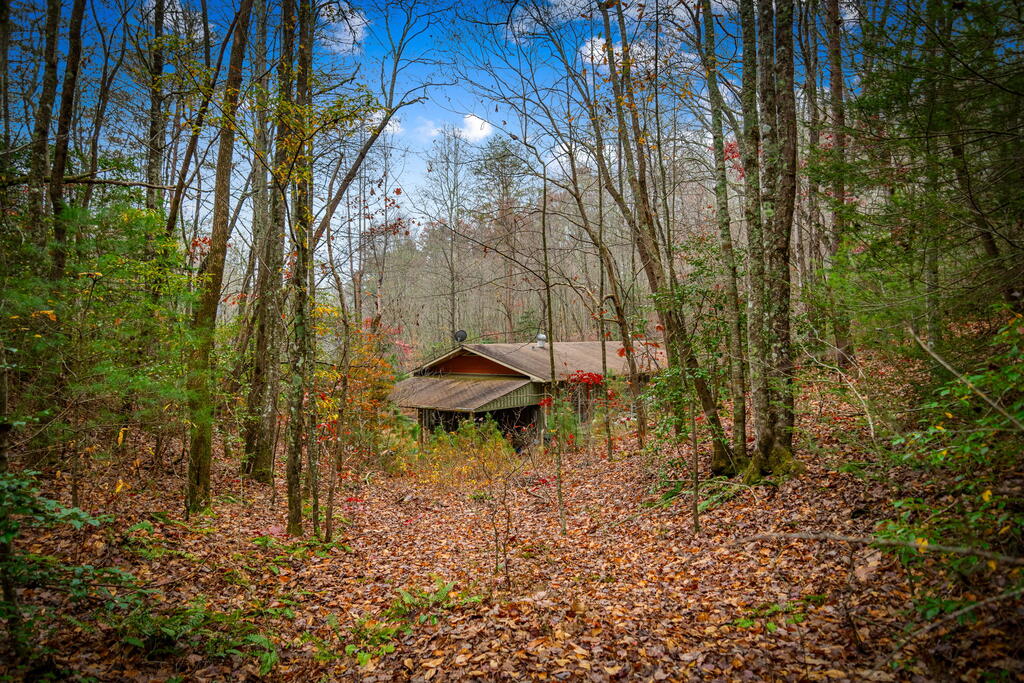 208 Bullen Gap Road Blue Ridge, GA 30513 - Photo 47 of 72 Gallery Image 47