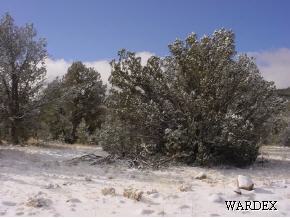 1511 Bucks Road Seligman, AZ 86337 - Photo 2 of 11 Additional Photo